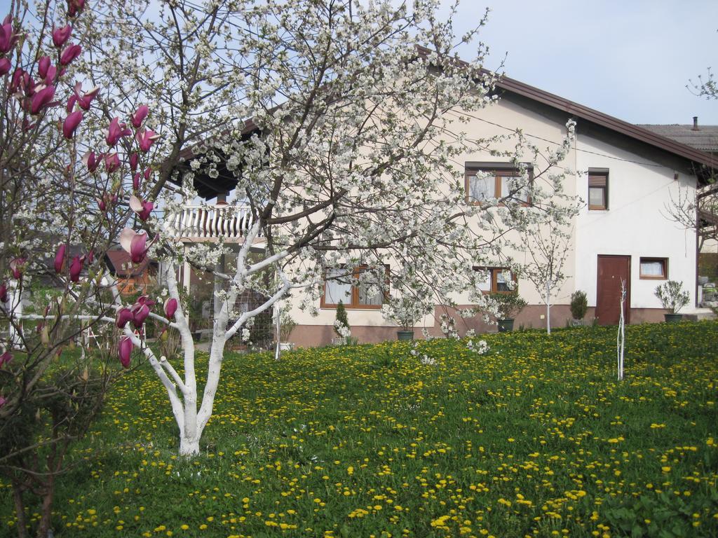 Apartment Yasica Izacic Kültér fotó